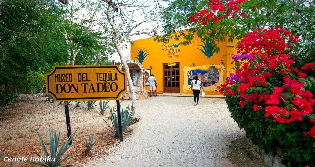Museo del Tequila Don Tadeo