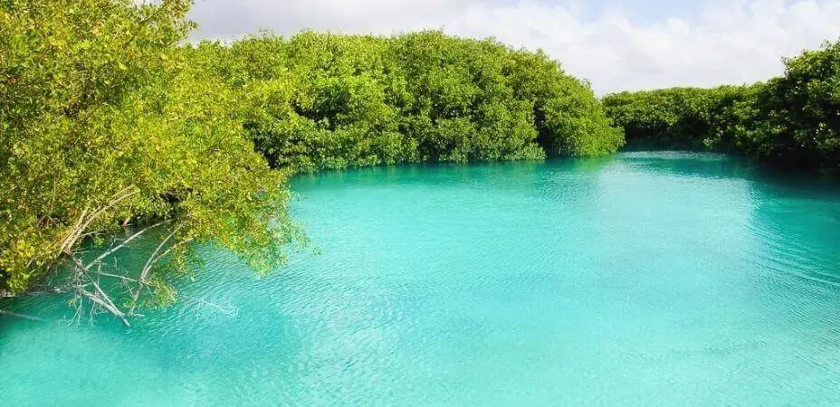 Casa Cenote Casa Cenote