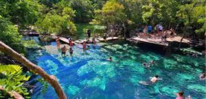 Cenote Azul Playa del Carmen