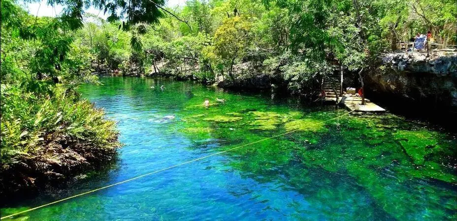 Cenote Jardín Del Edén Tulúm