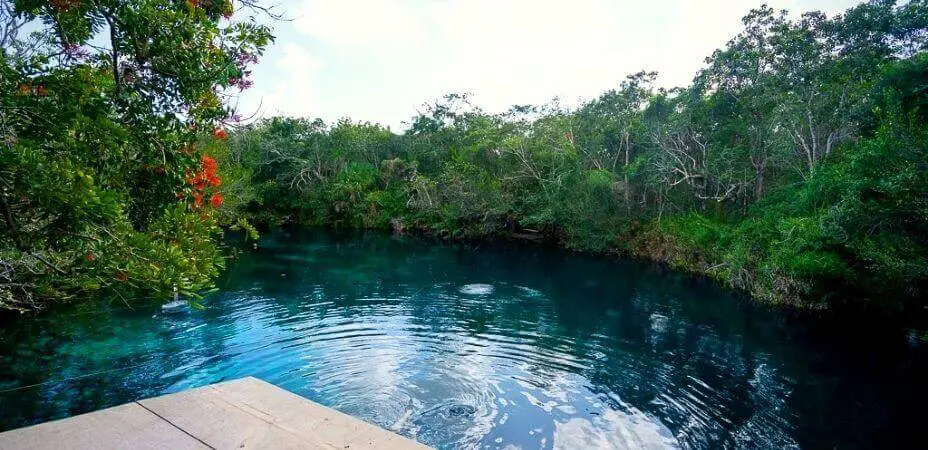 Cenotes en Tulum México