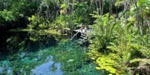 Cenote Nicte Ha