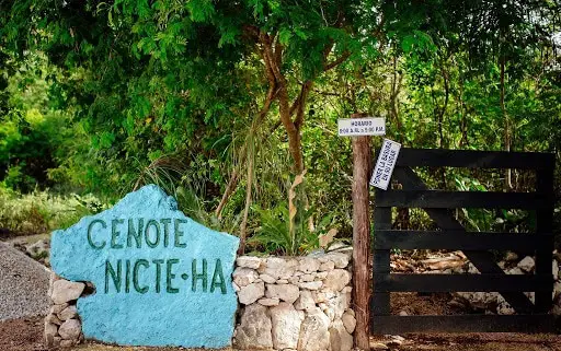 Cenote Nicte Ha