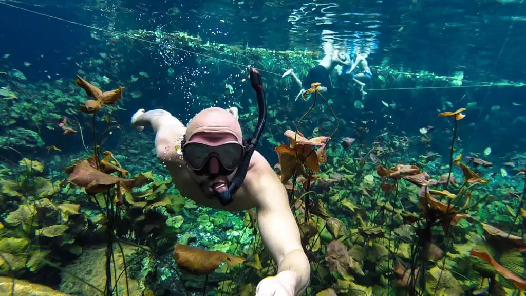 snorkeling cenotes yucatán