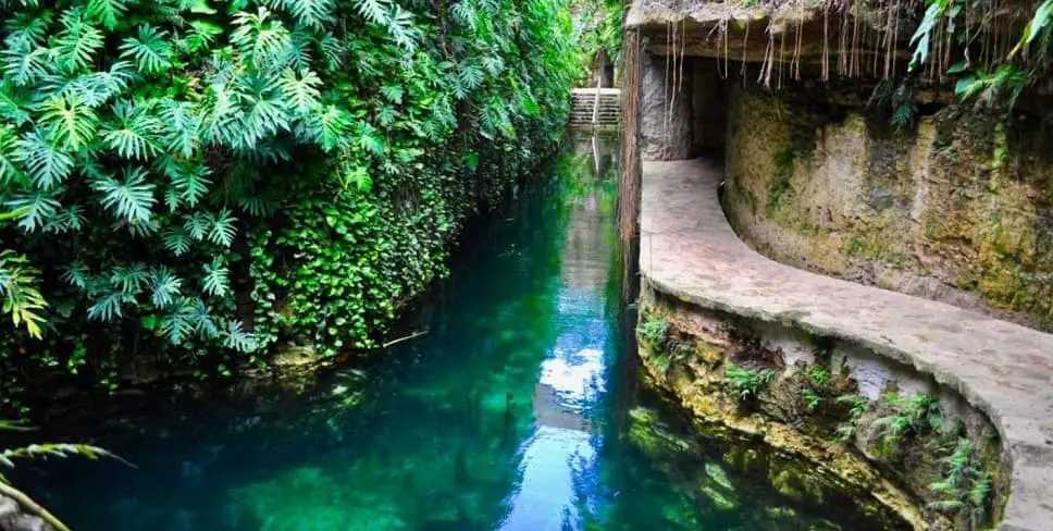 Cenotes Hacienda Mucuyché