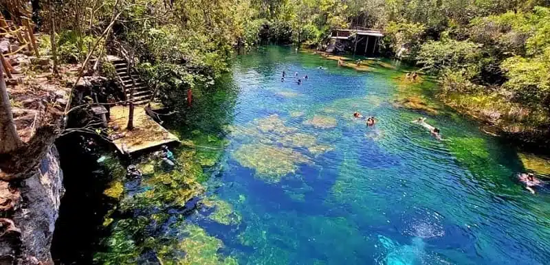 Cenote Jardín Del Edén