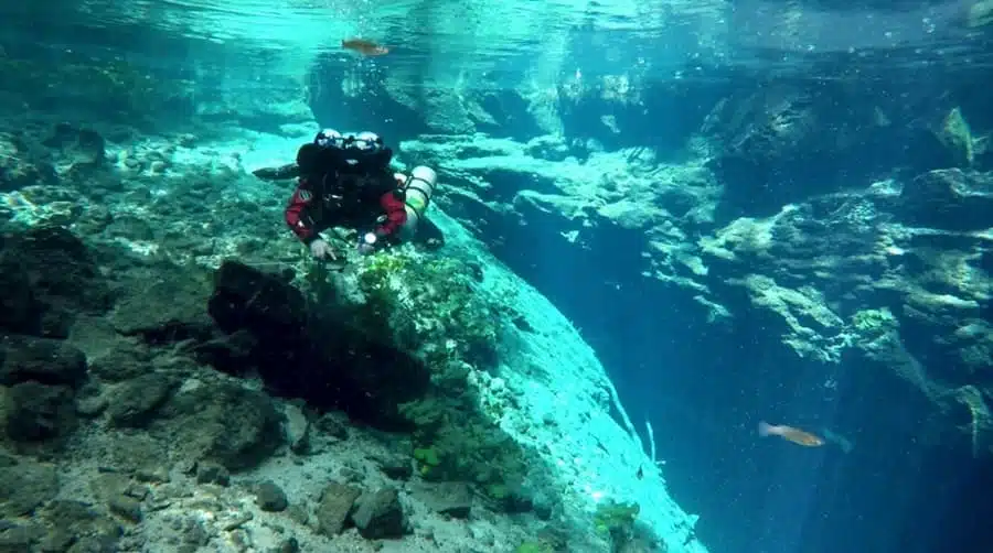 Bucear en el Cenote X'batun Bucear en el Cenote X'batun