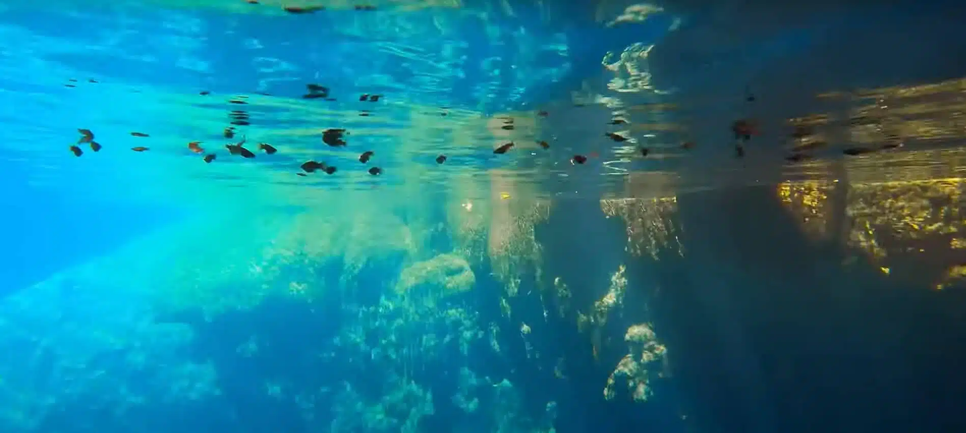 snorkeling Cenote Yaxbacaltun snorkeling Cenote Yaxbacaltun