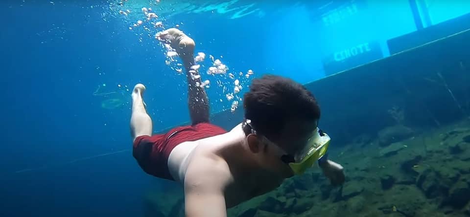 snorkeling Cenote Yaxbacaltun